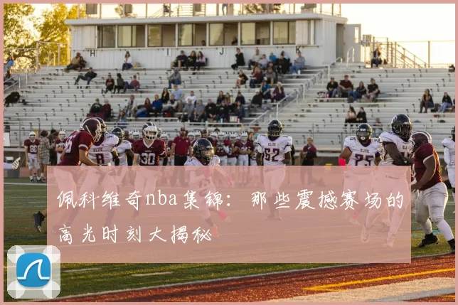 佩科维奇nba集锦:那些震撼赛场的高光时刻大揭秘