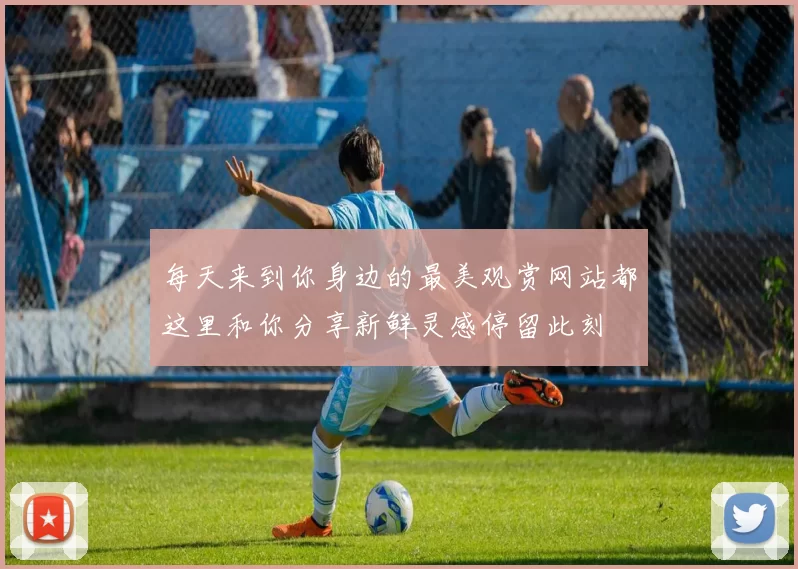 每天来到你身边的最美观赏网站都这里和你分享新鲜灵感停留此刻