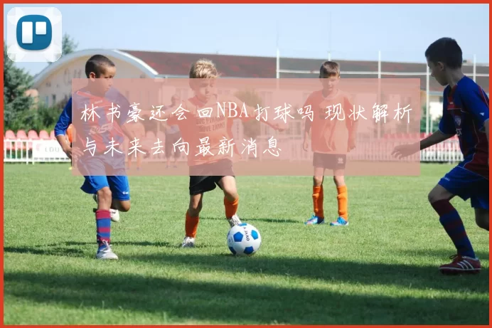 林书豪还会回NBA打球吗 现状解析与未来去向最新消息